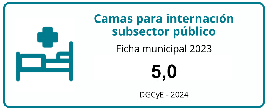camas-para-internacion
